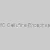 MC Cellufine Phosphate